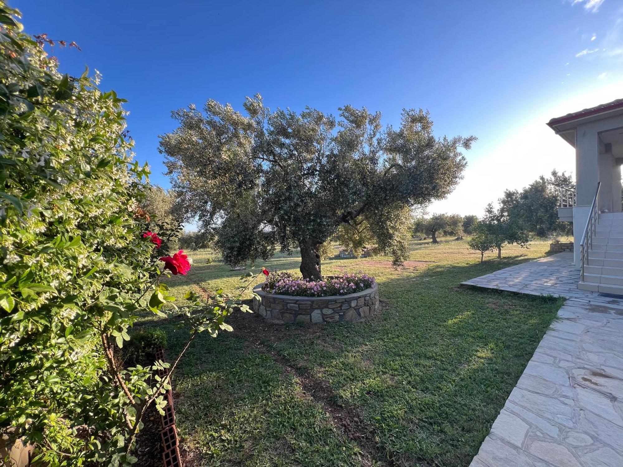Giannoula Villa Gerakini